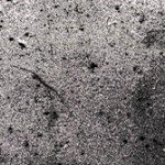 constellation_drmis_project_richard-garet