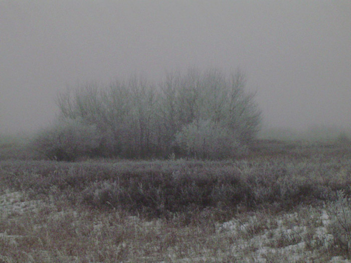 Winnipeg 10.25.2003 Send+Receive France Jobin